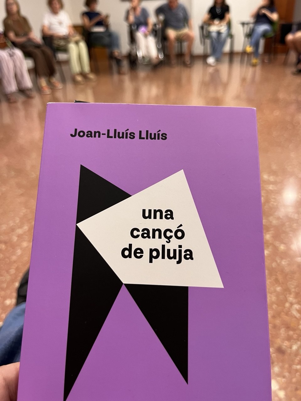 <em>La cançó de pluja</em> de Joan Lluís Lluís