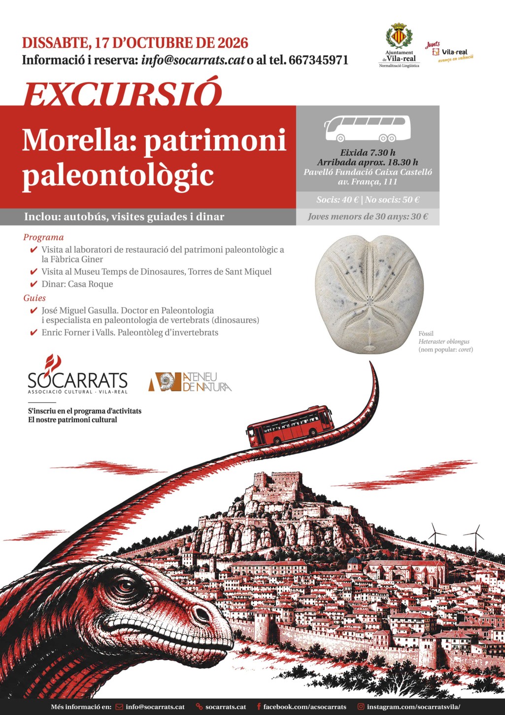 Morella: patrimoni paleontològic
